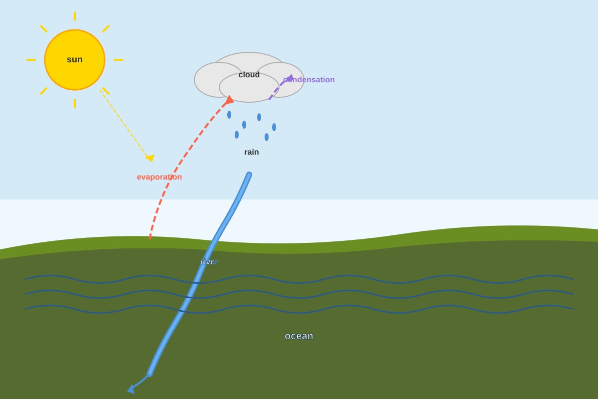 Diagram for Q10 (P4 Science)