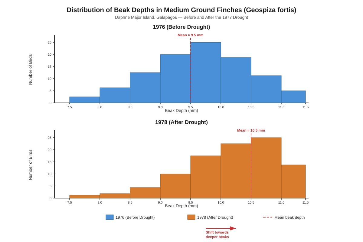 Graph for placeholder 2 (SEC3 Biology)