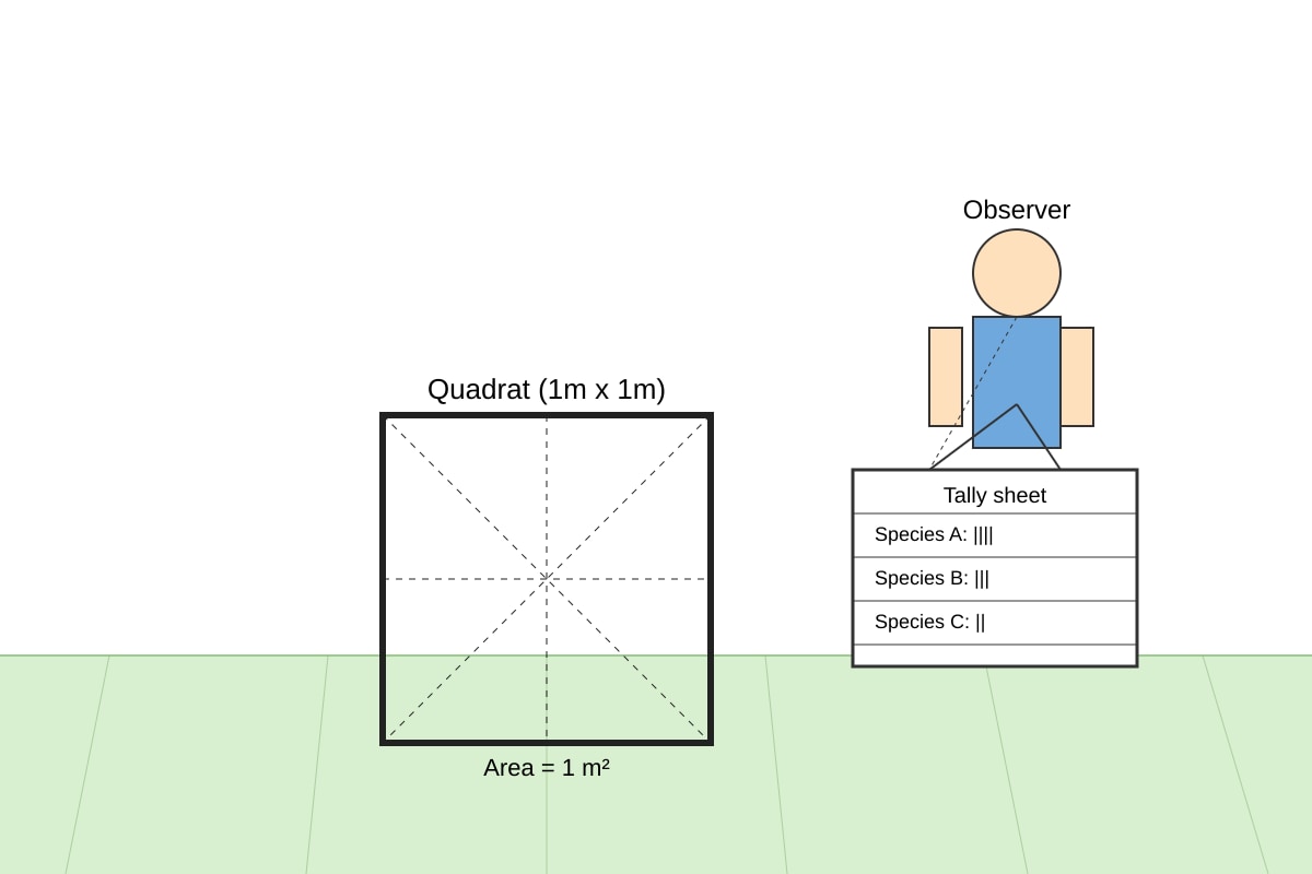 Diagram for Q10 (SEC4 Geography)