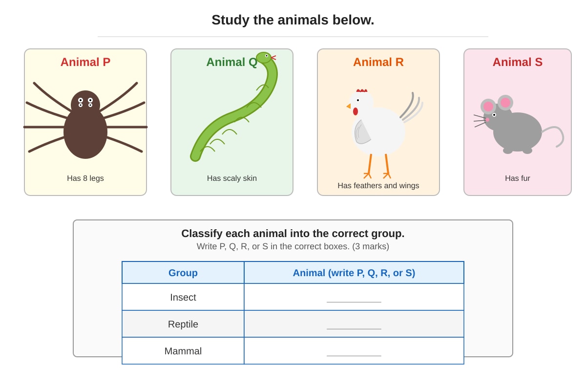 Diagram for Q12 (P3 Science)