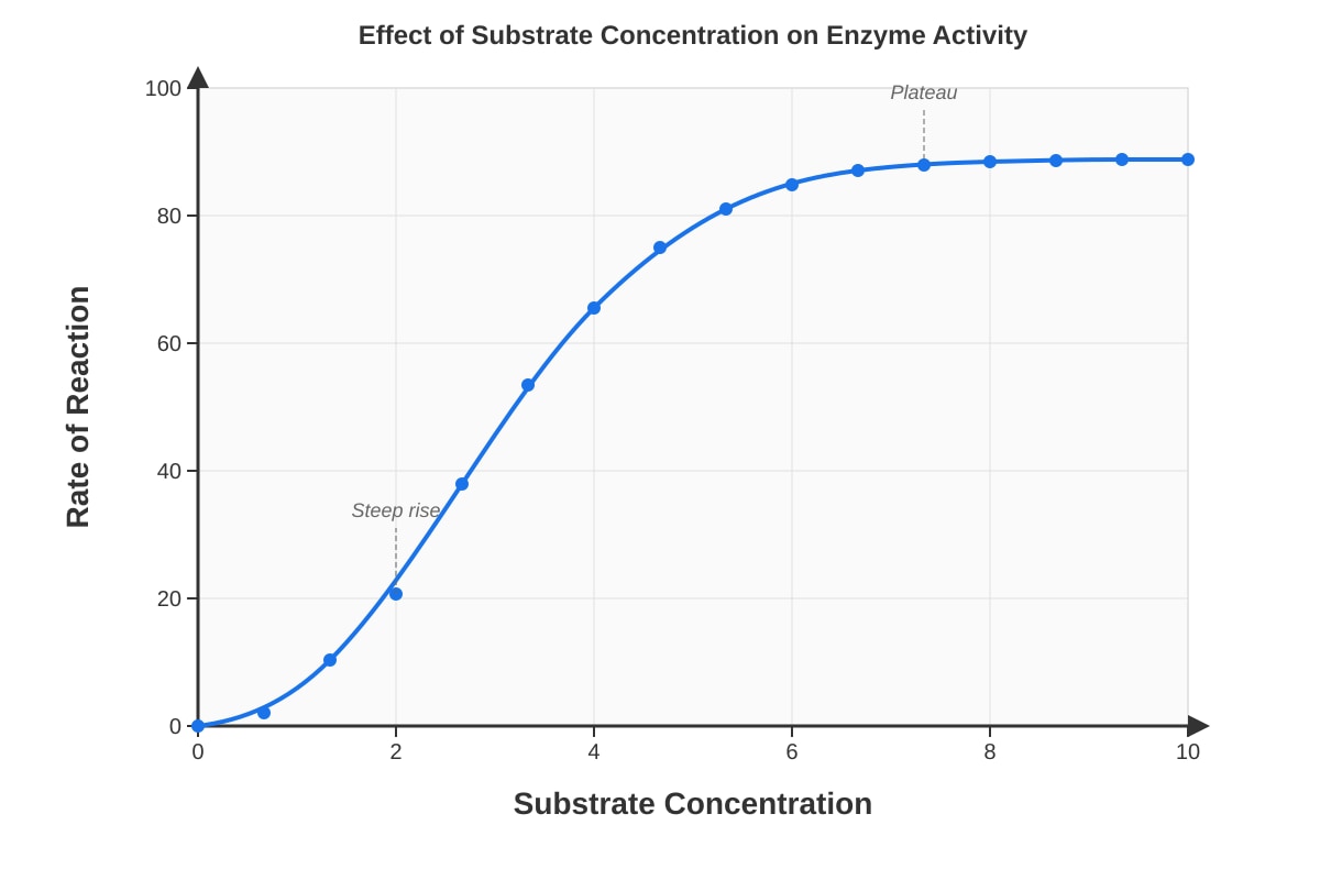 Graph for placeholder 1 (SEC4 Pure Biology)