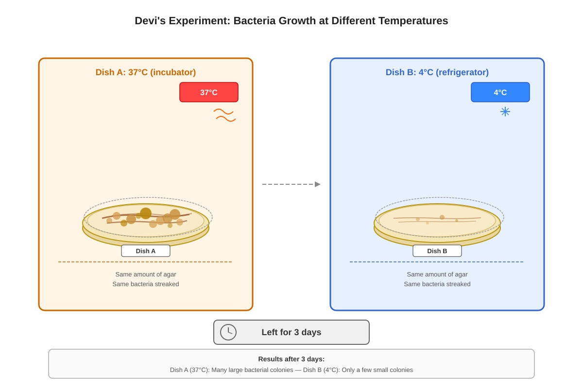 Experimental Setup for Q11 (P6 Science)