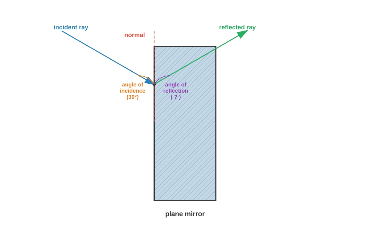 Diagram for Q5 (P6 Science)