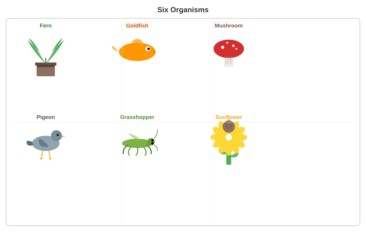 Illustration for placeholder 4 (P4 Science)