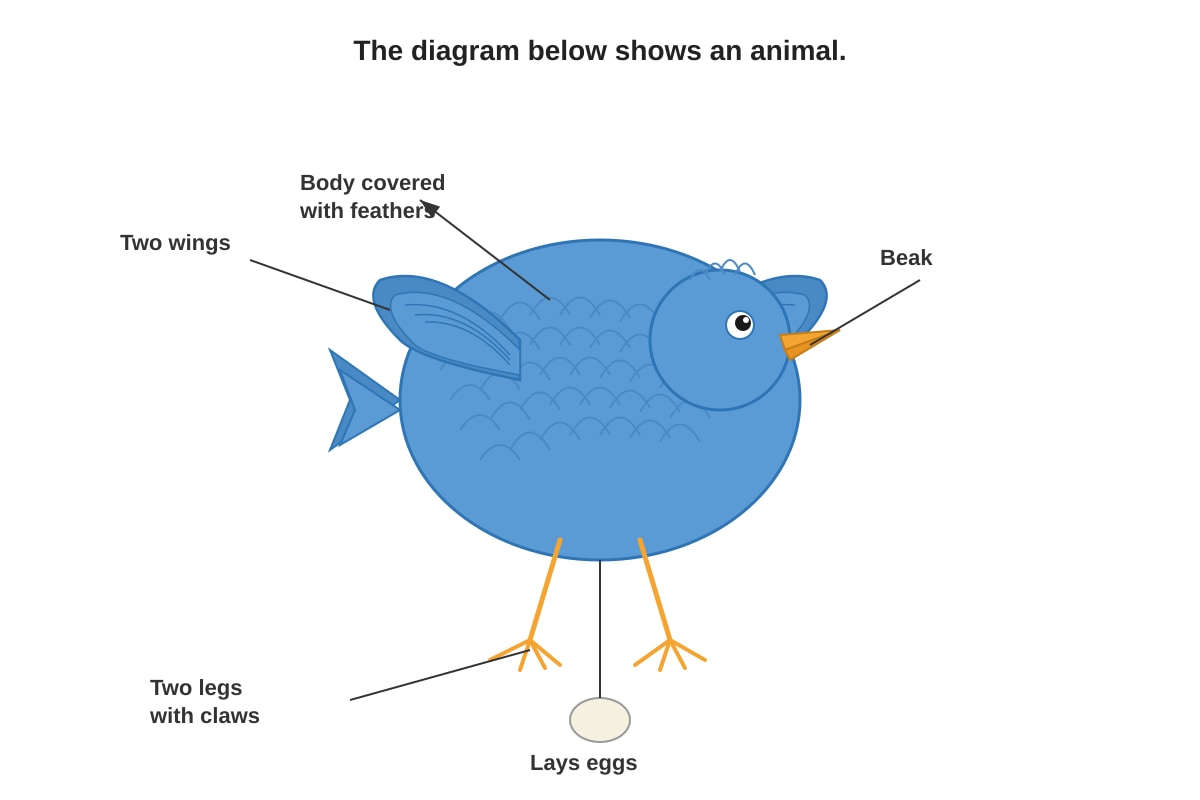 Diagram for Q10 (P6 Science)