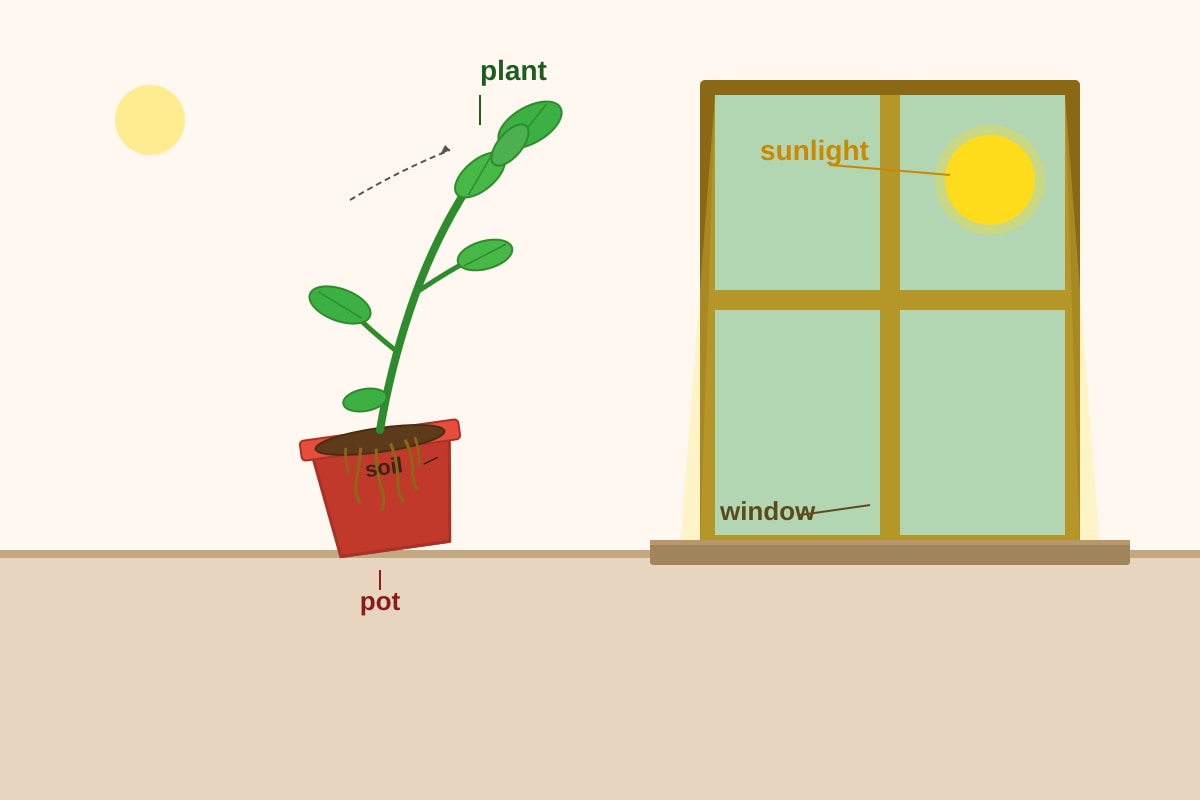 Diagram for Q16 (P3 Science)