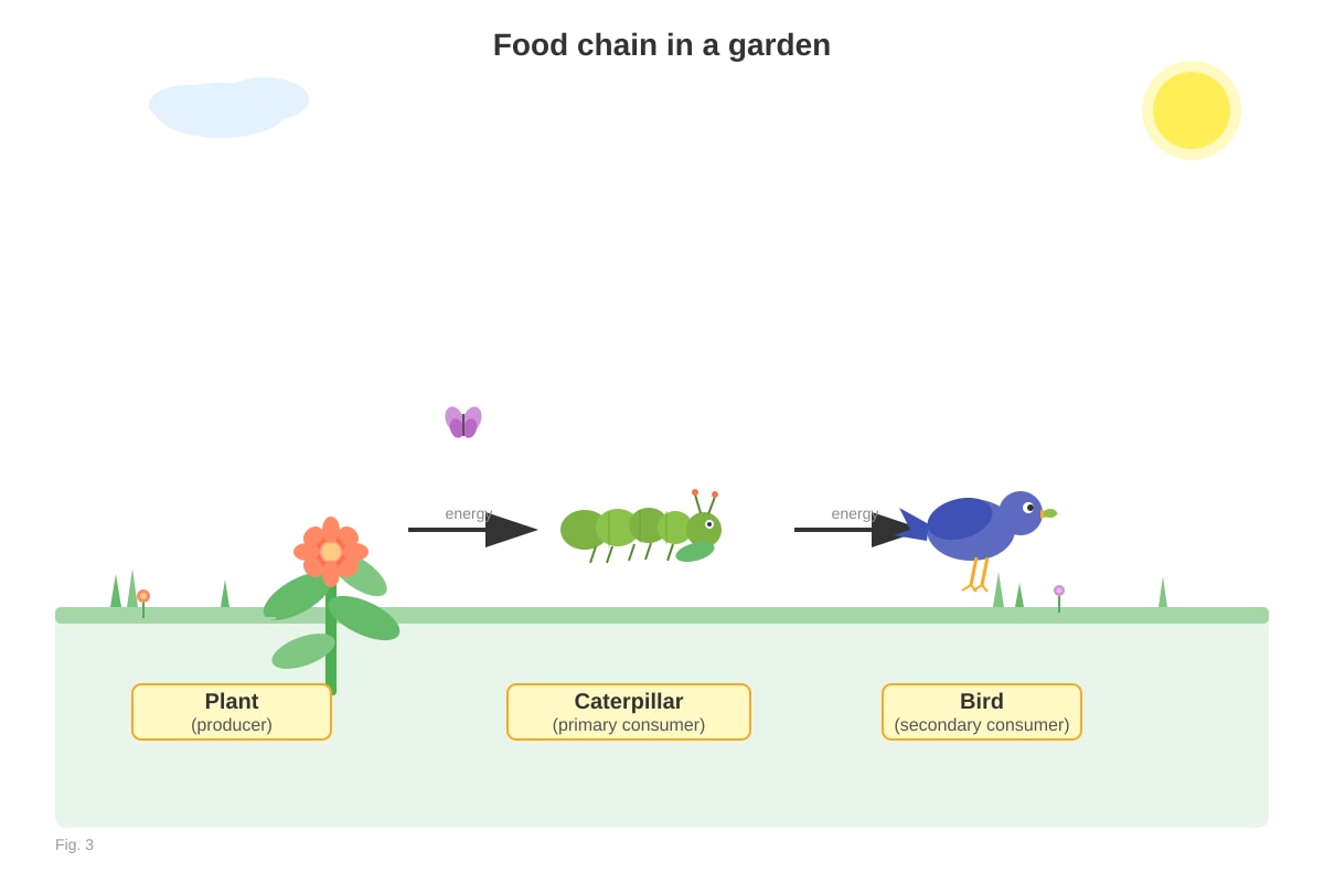 Diagram for Q3 (P4 Science)
