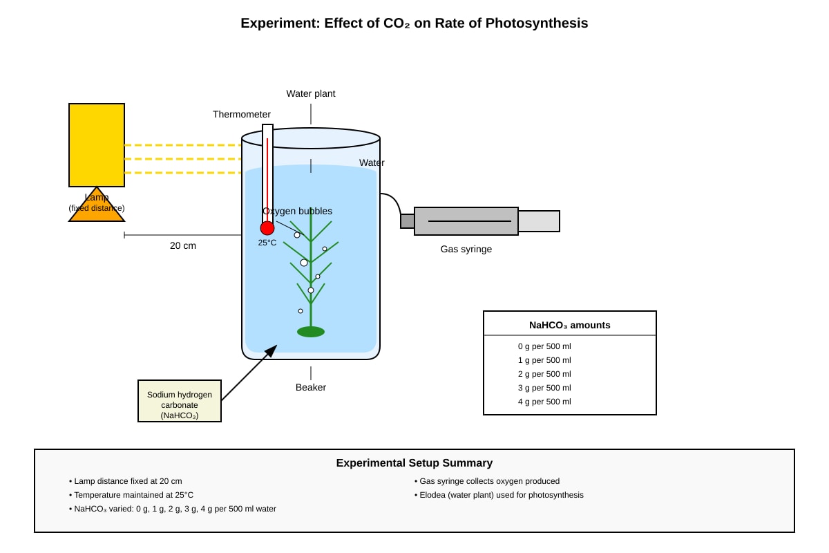 Experimental Setup for Q14 (P6 Science)