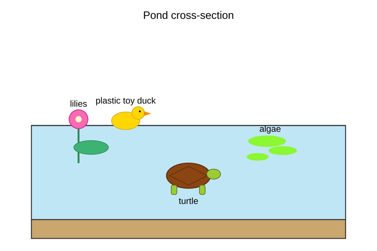 Diagram for 20 (P5 Science)
