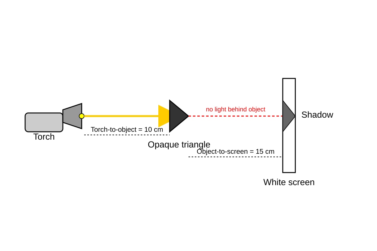 Experimental Setup for Q19 (P6 Science)