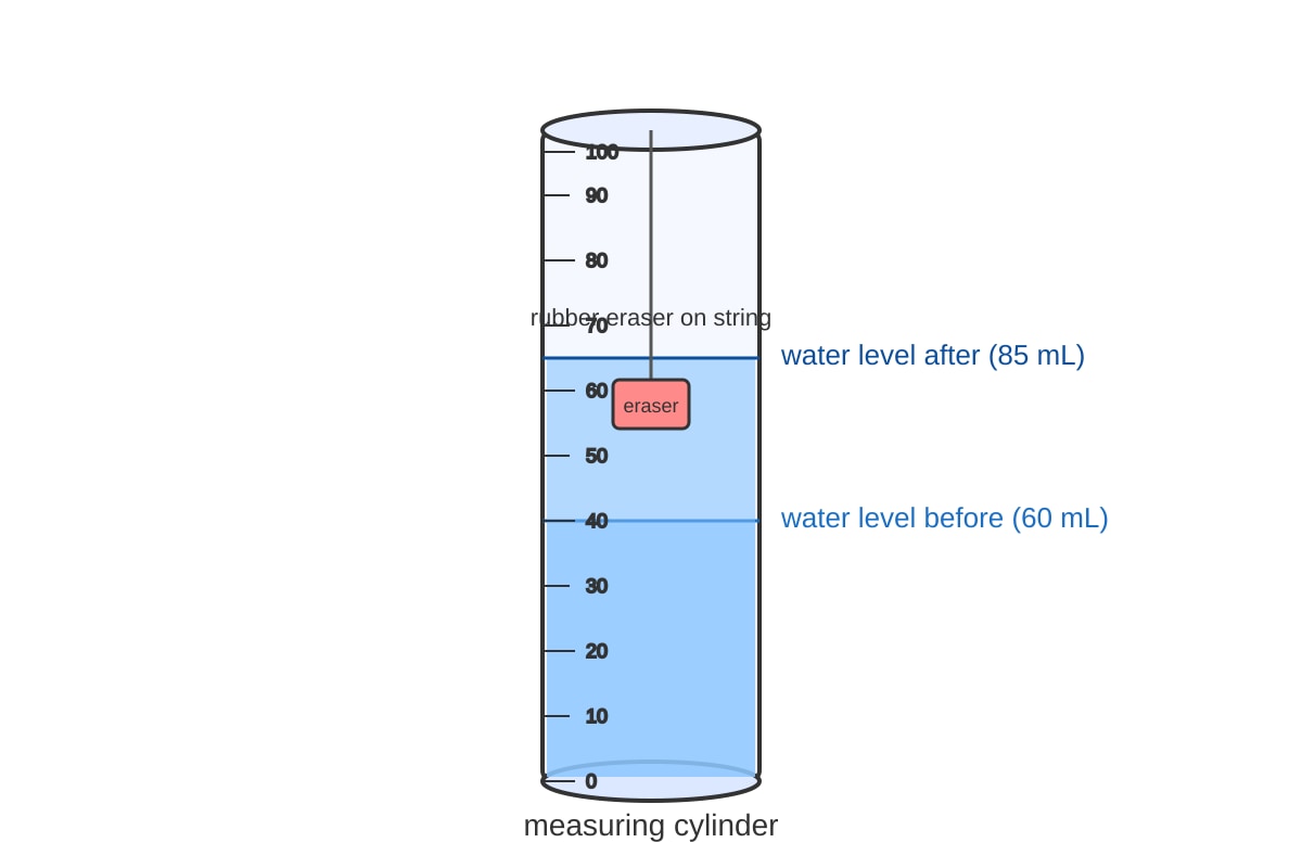 Experimental Setup for Q19 (P4 Science)