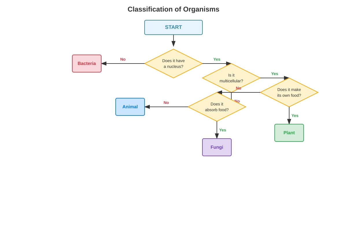 Diagram for Q15 (P6 Science)
