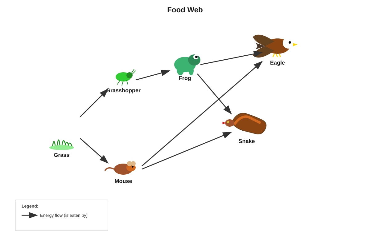 Diagram for Q4 (P6 Science)