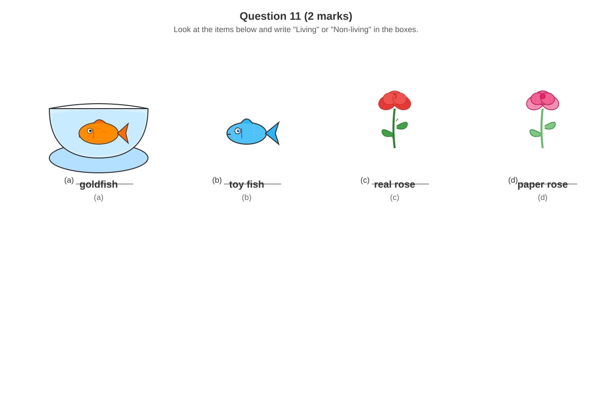 Diagram for Q11 (P3 Science)