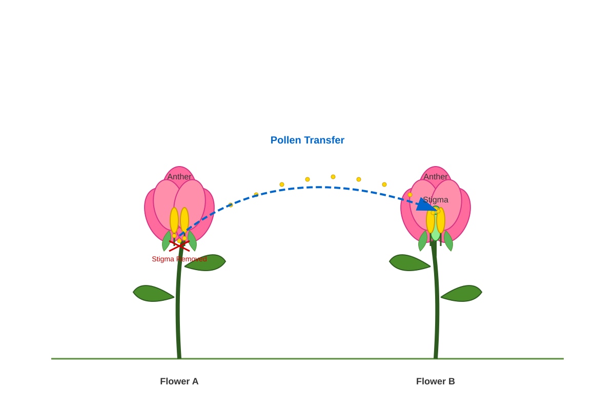 Diagram for Q15 (P5 Science)