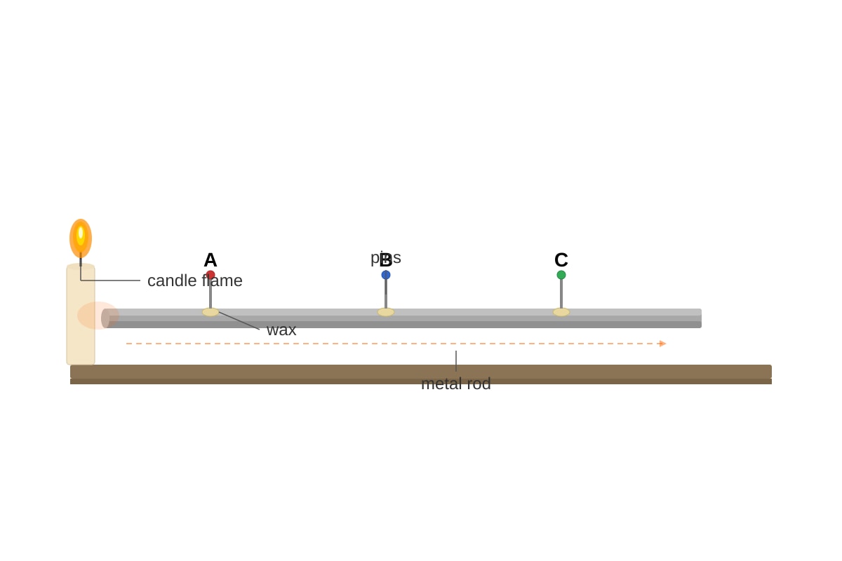 Diagram for Q11 (P3 Science)