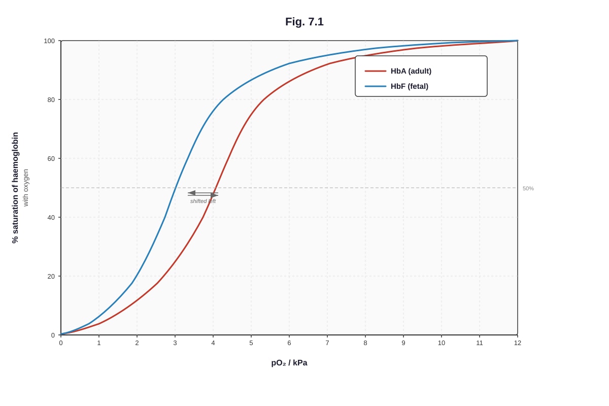 Graph for placeholder 3 (ALEVEL Biology H2)