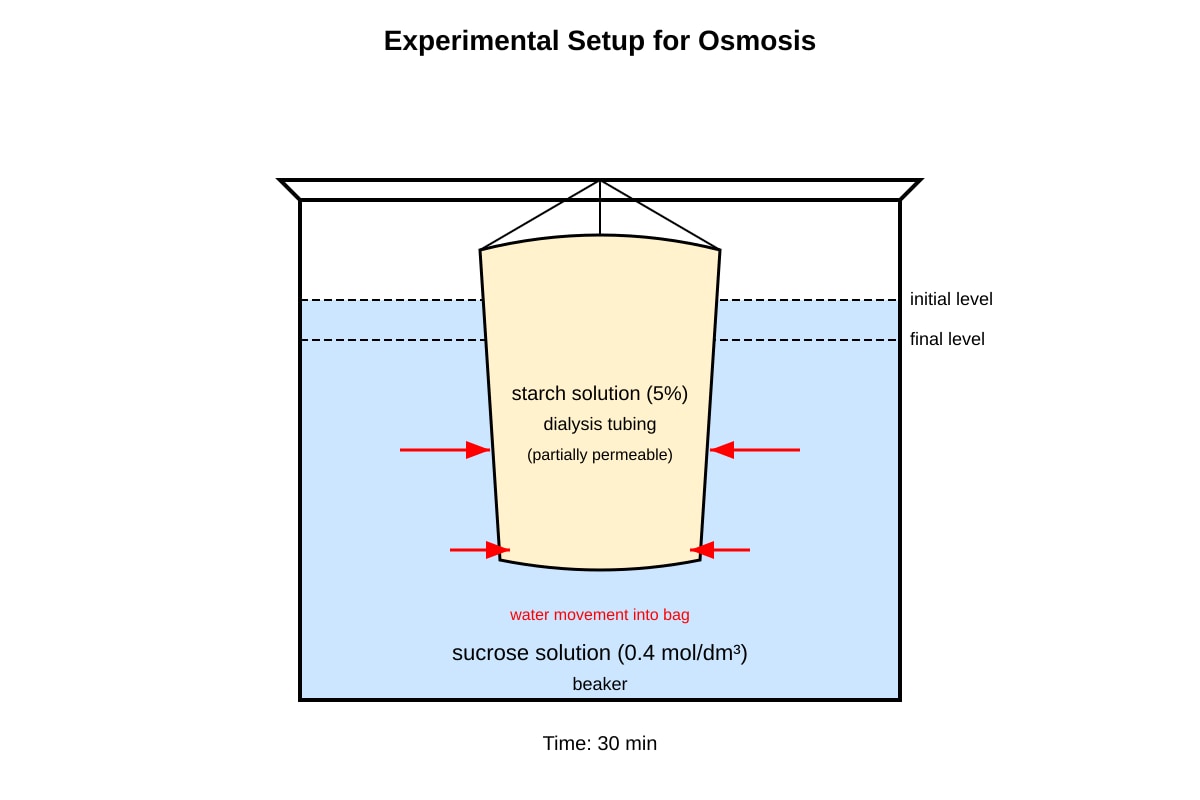 Experimental Setup for Q16 (SEC4 Combined Sci Bio)