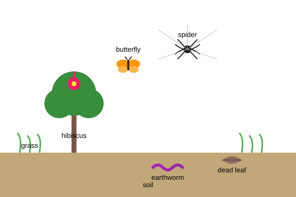 Diagram for Q17 (P6 Science)