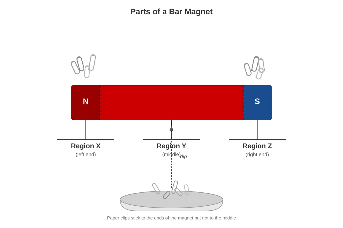 Diagram for Q18 (P4 Science)