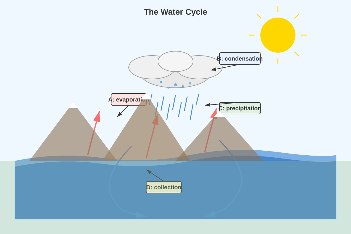 Diagram for Q19 (P5 Science)