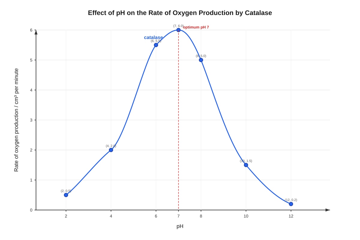 Graph for Q12 (SEC3 Biology)