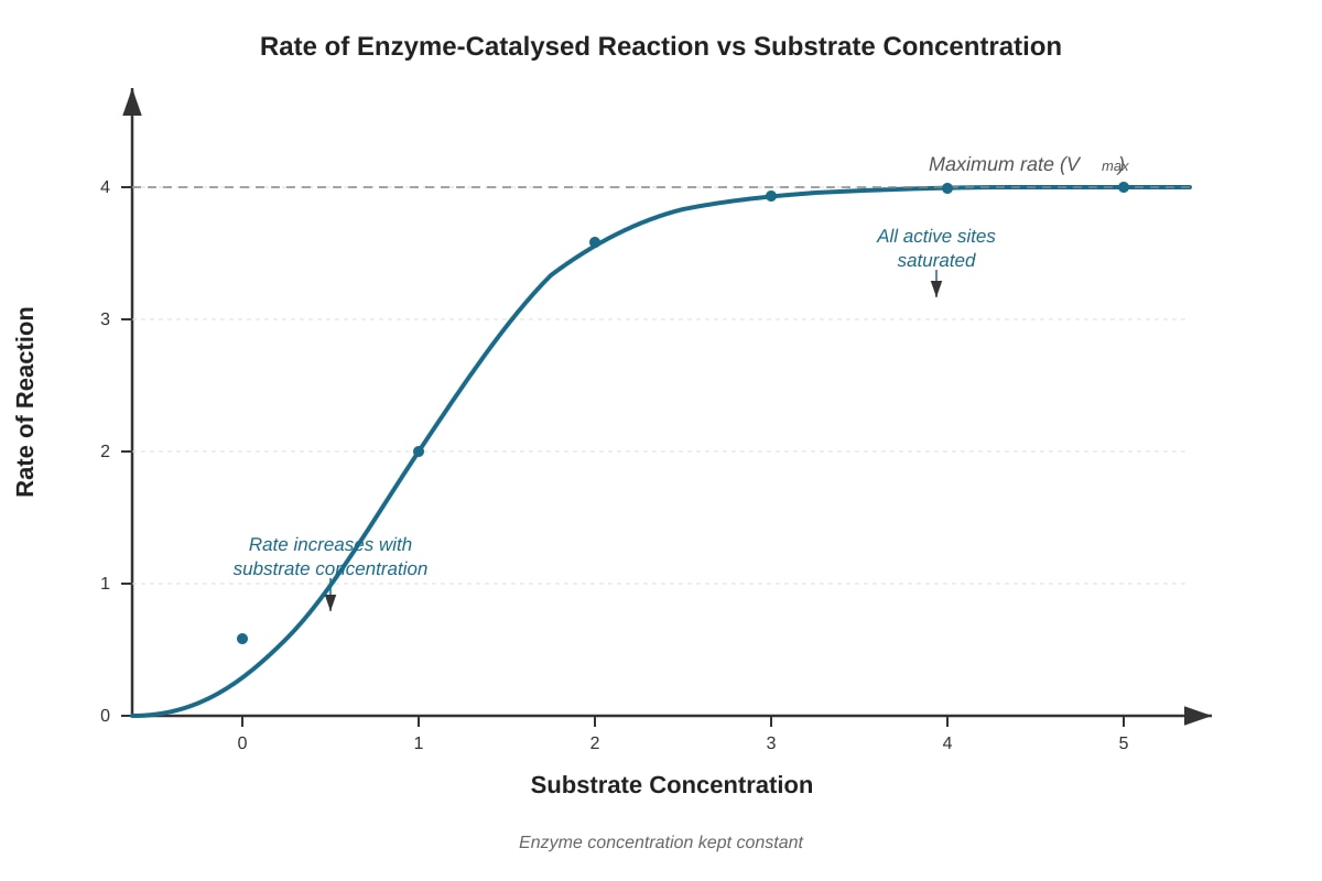 Graph for placeholder 8 (SEC4 Combined Sci Bio)