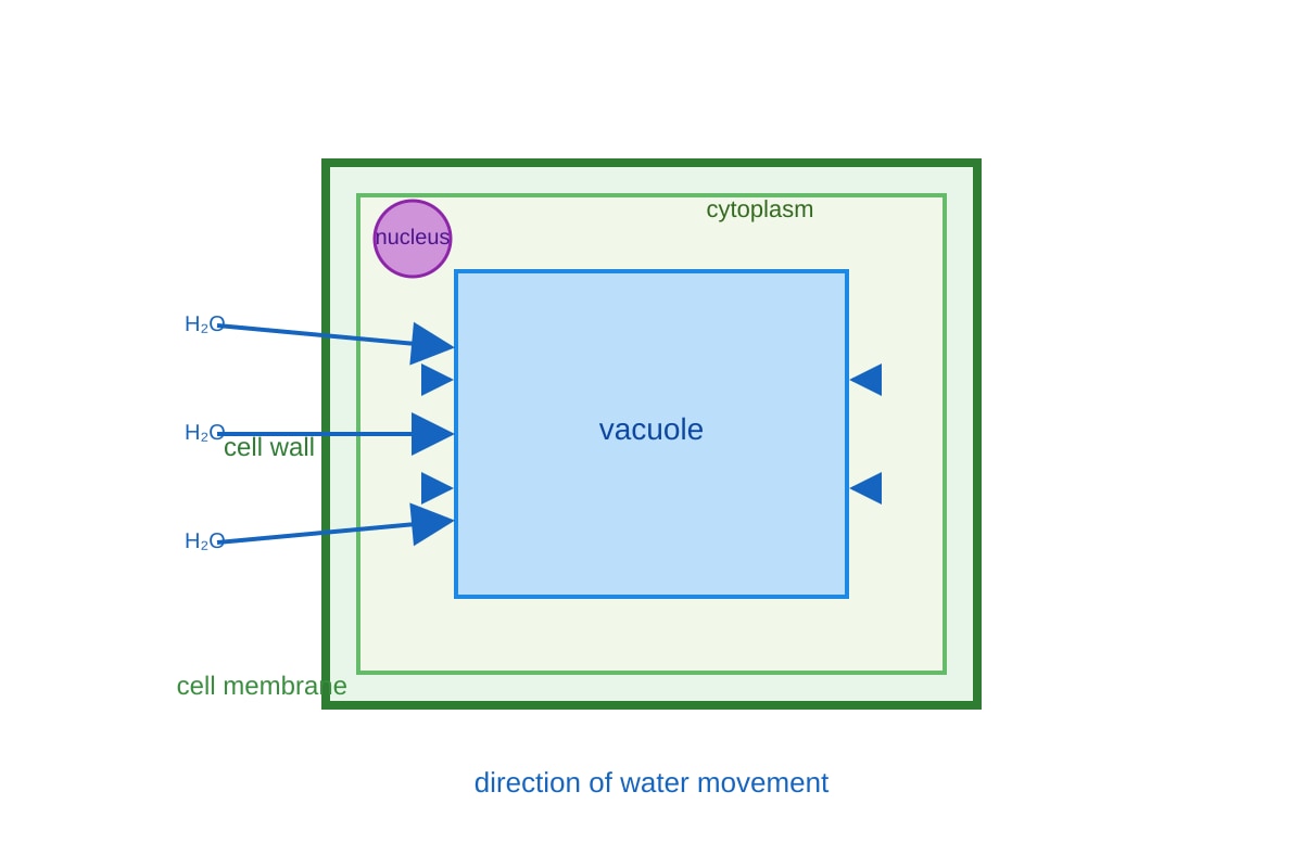 Diagram for Q7 (SEC3 Biology)
