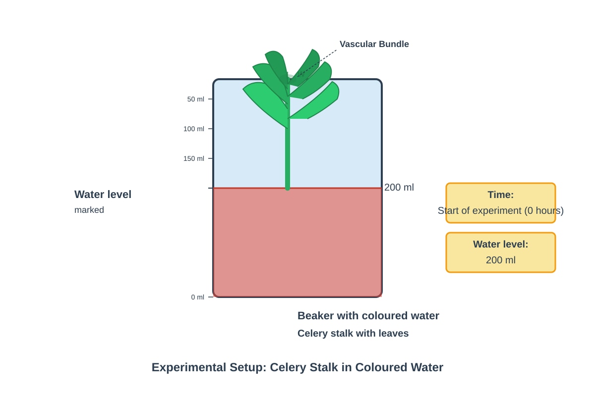 Diagram for Q12 (P5 Science)