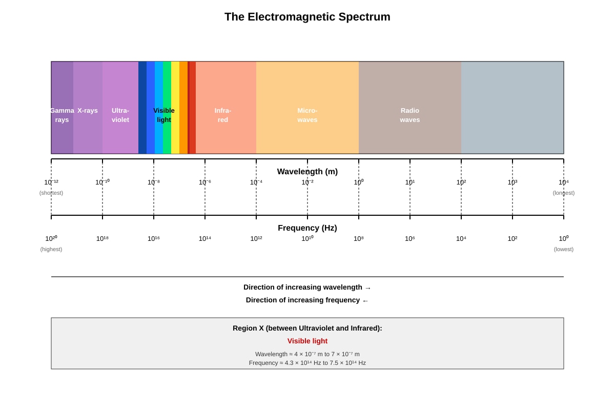 Diagram for Q16 (SEC3 Physics)
