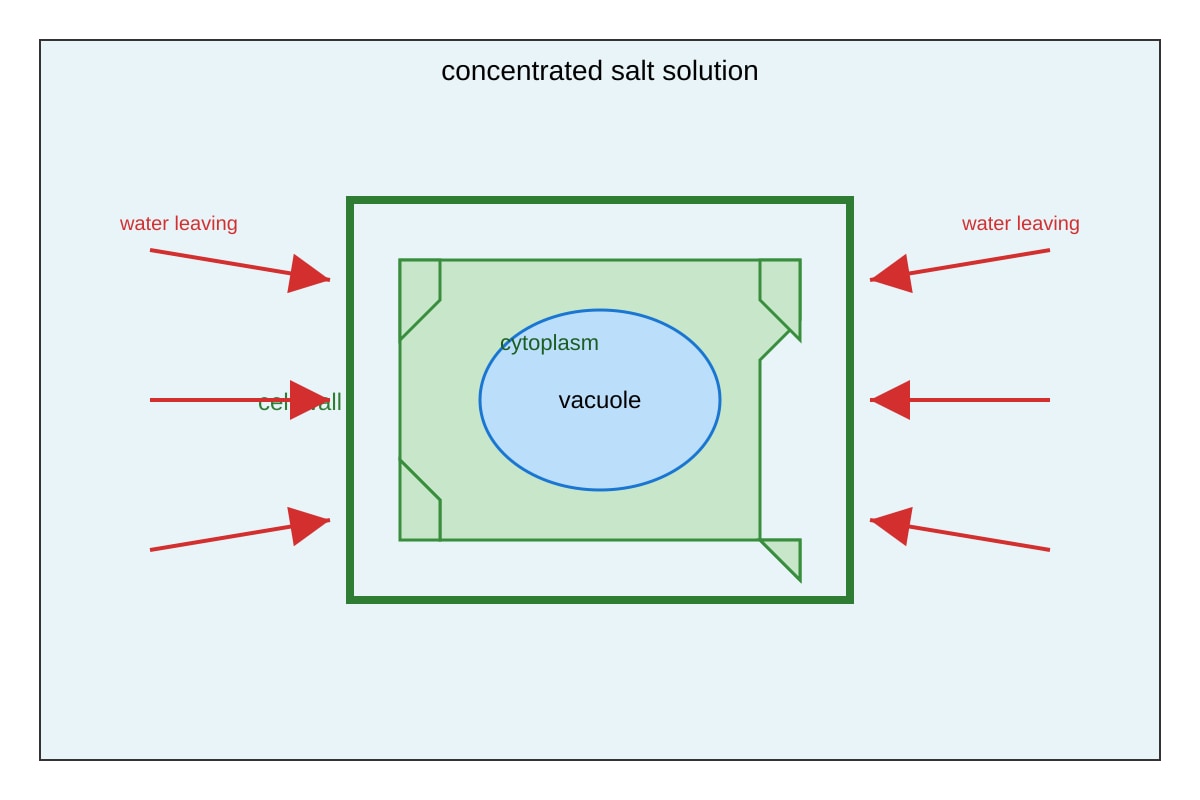 Diagram for Q9 (SEC3 Biology)