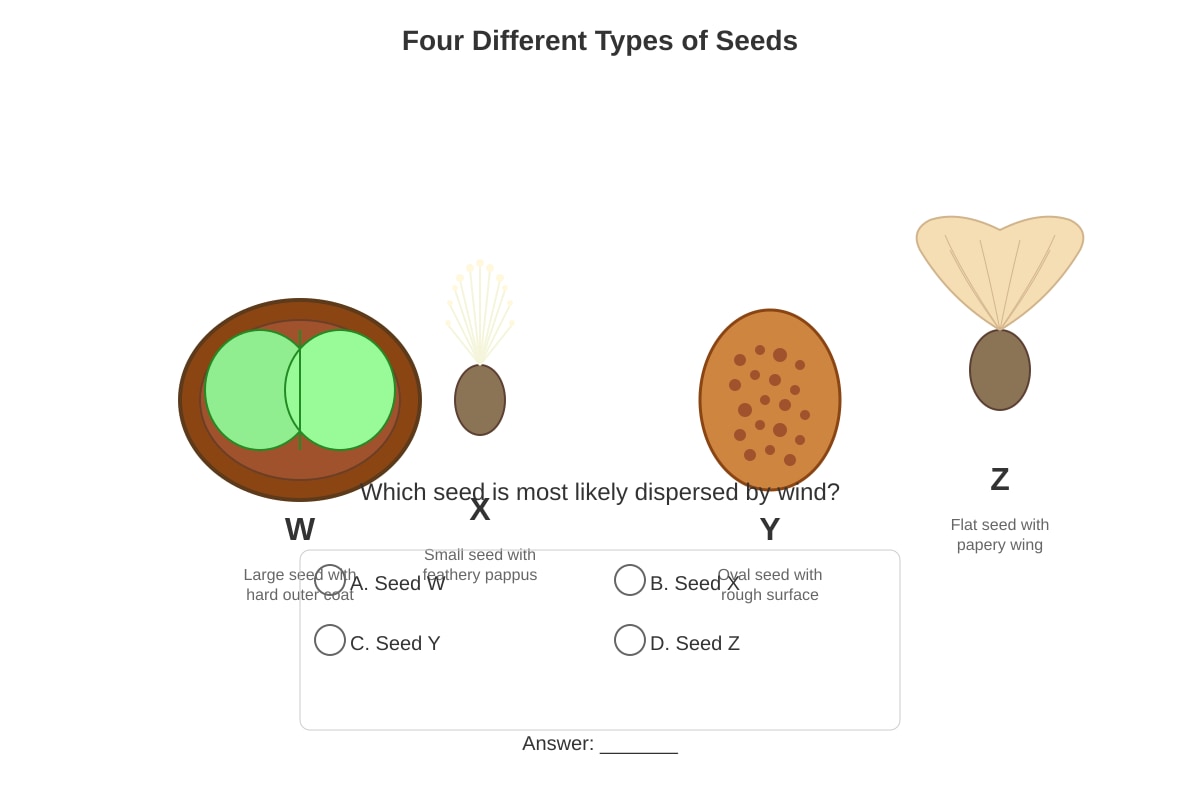 Diagram for Q6 (P6 Science)