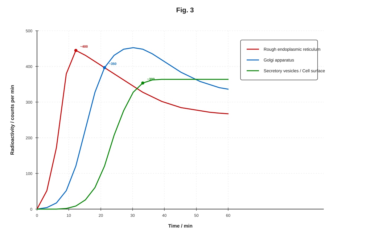 Graph for Q10 (ALEVEL Biology H1)
