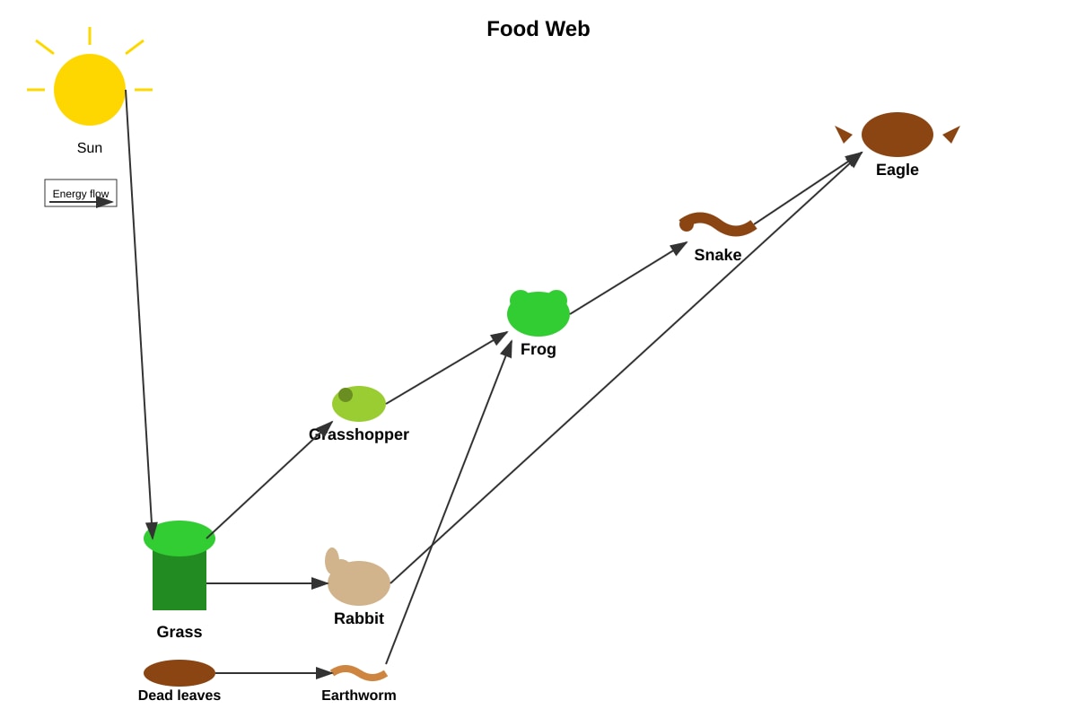 Diagram for Q6 (P6 Science)