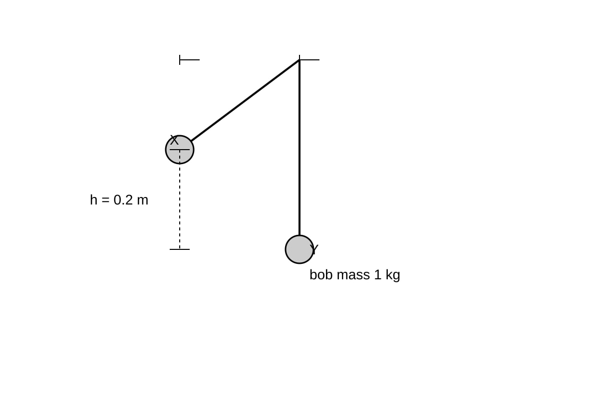 Diagram for Q8 (SEC2 Science)