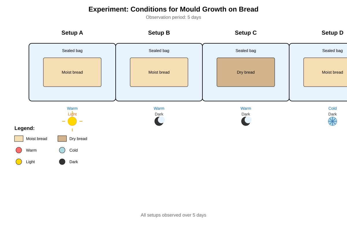 Experimental Setup for Q40 (P6 Science)