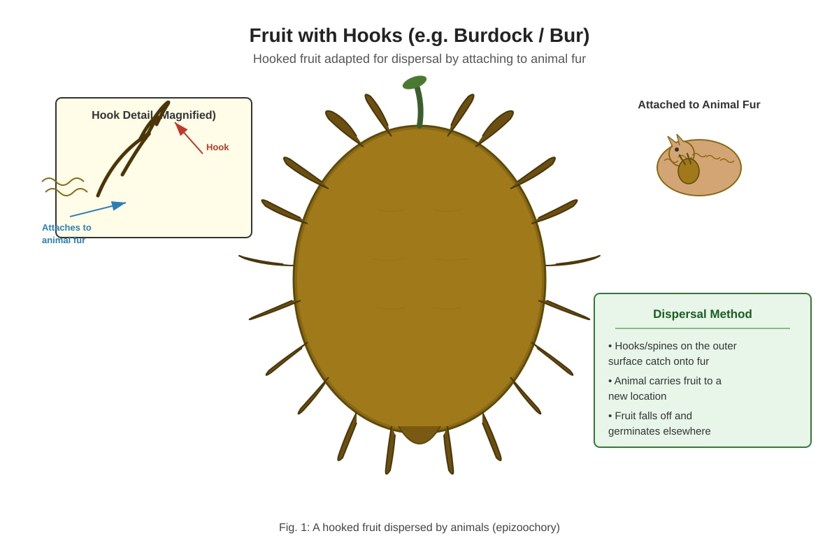 Diagram for Q34 (P6 Science)
