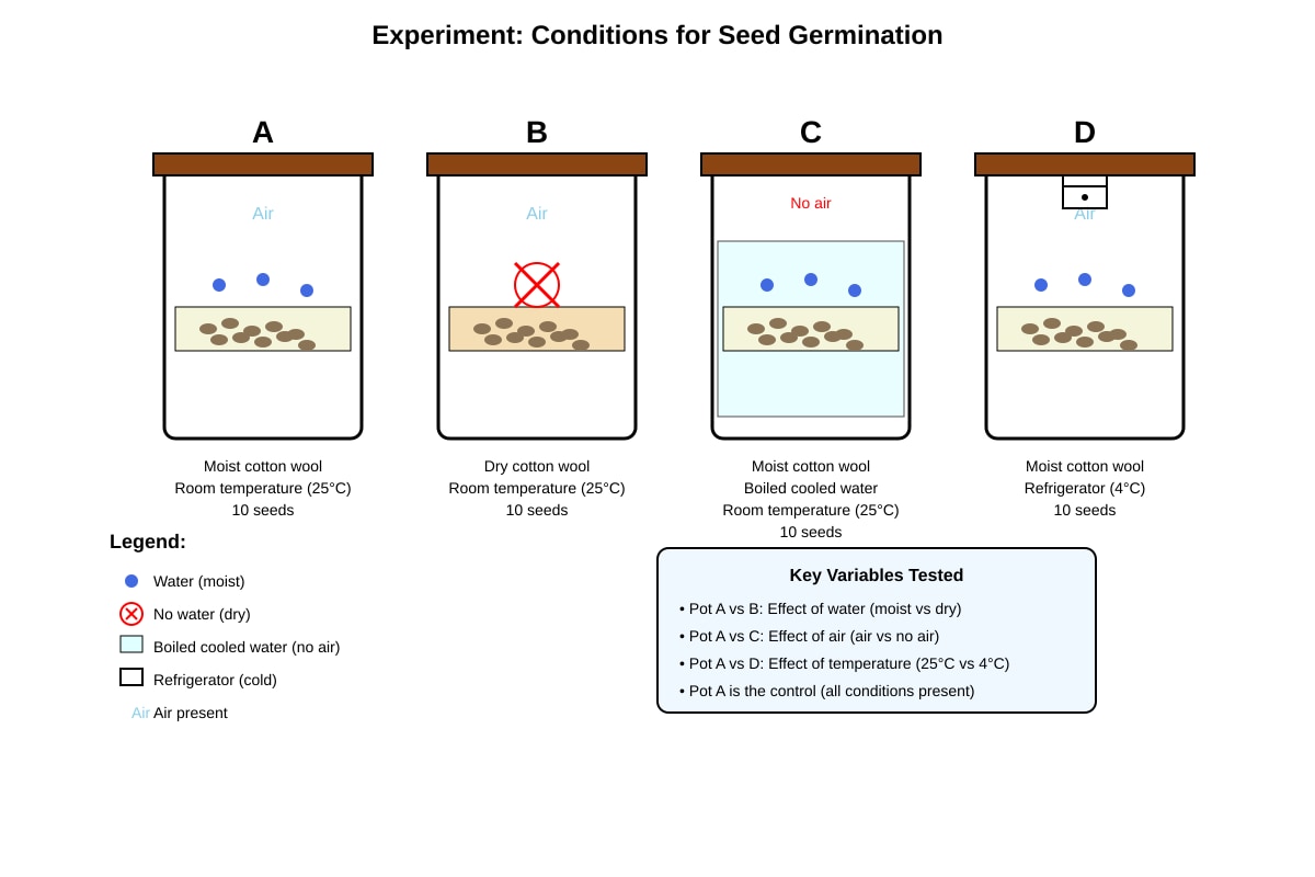 Experimental Setup for Q15 (P5 Science)