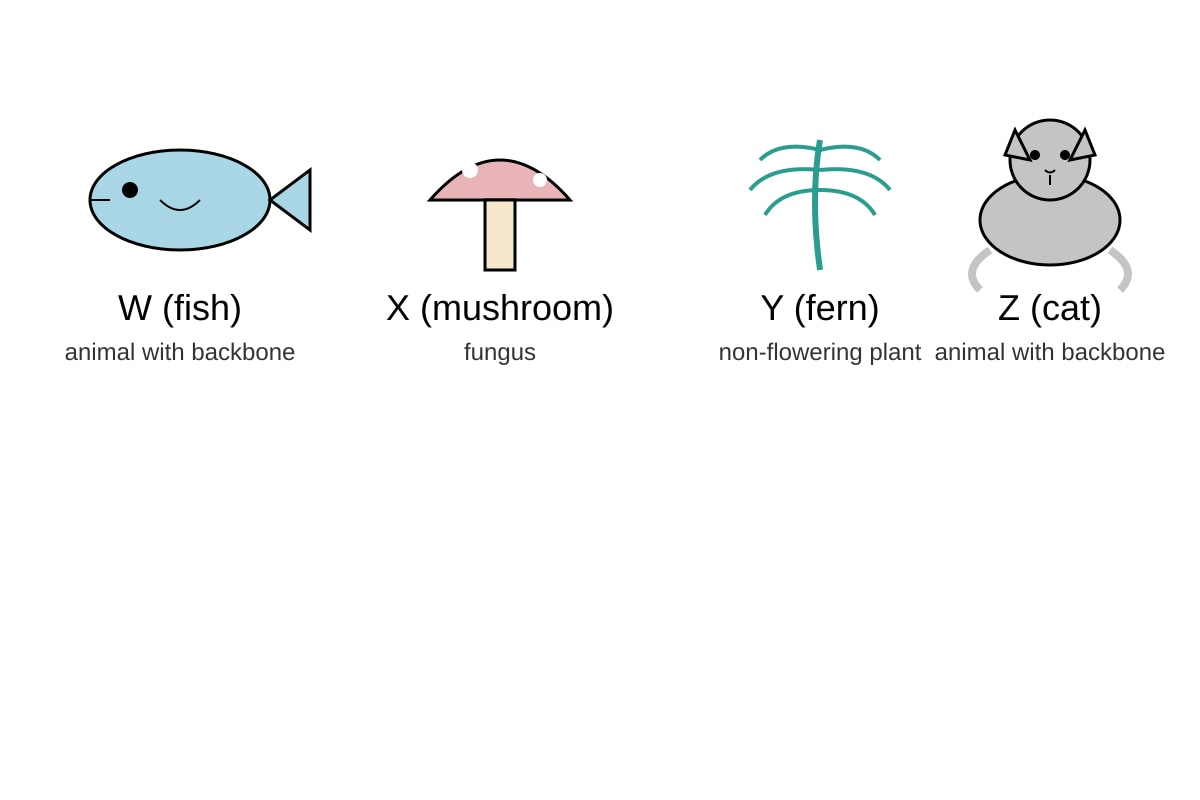 Diagram for Q17 (P5 Science)