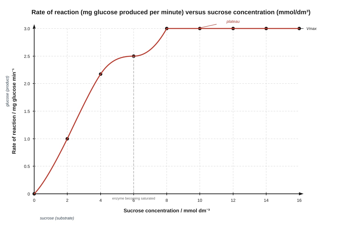 Graph for Q13 (SEC3 Biology)