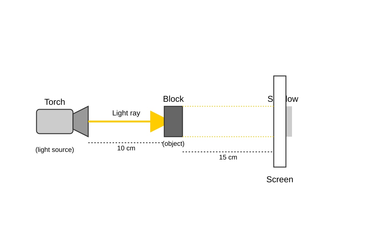 Experimental Setup for Q19 (P4 Science)
