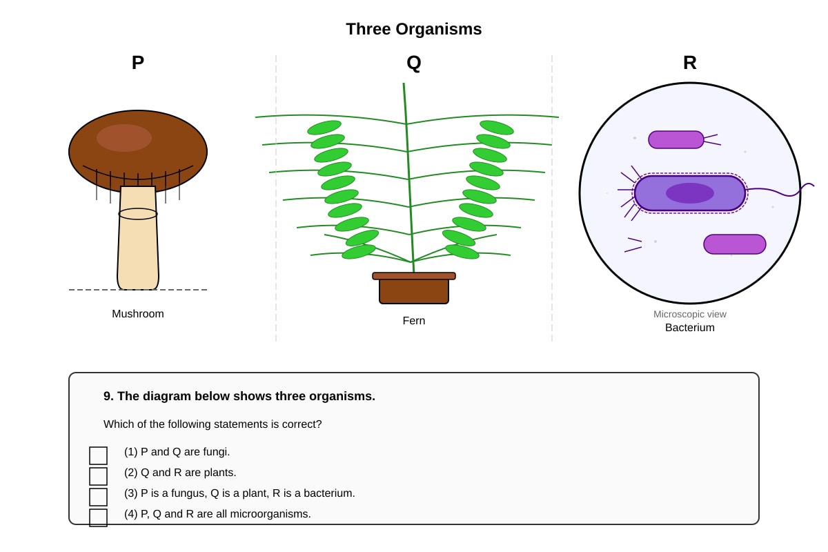 Diagram for Q9 (P4 Science)