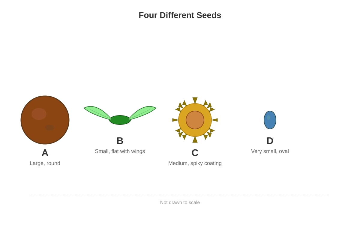 Diagram for Q7 (P4 Science)
