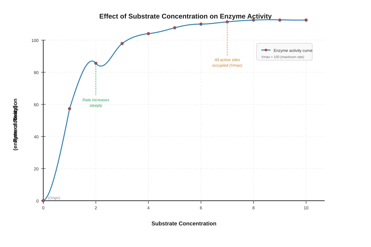 Graph for placeholder 2 (SEC4 Pure Biology)