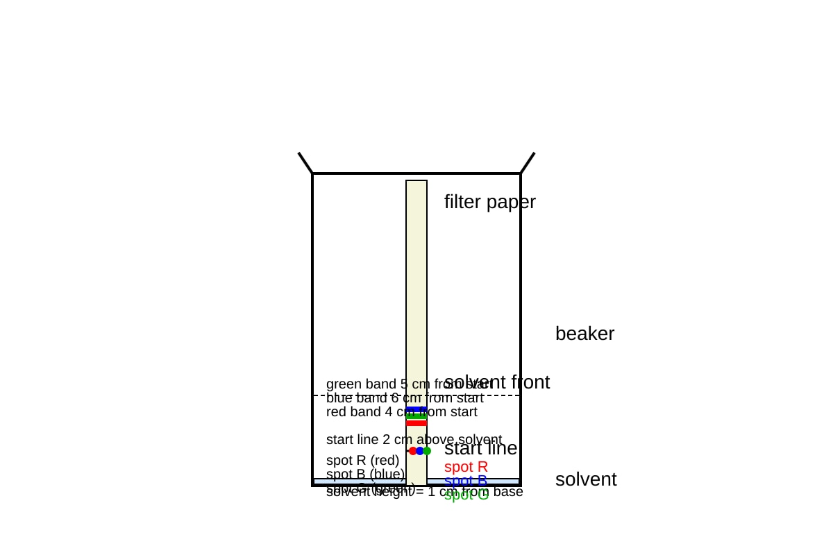 Experimental Setup for Q13 (SEC3 Combined Science)