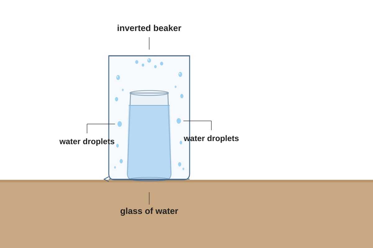 Experimental Setup for Q12 (P4 Science)