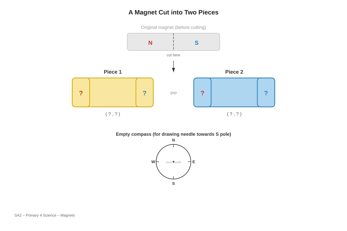 Diagram for Q20 (P4 Science)