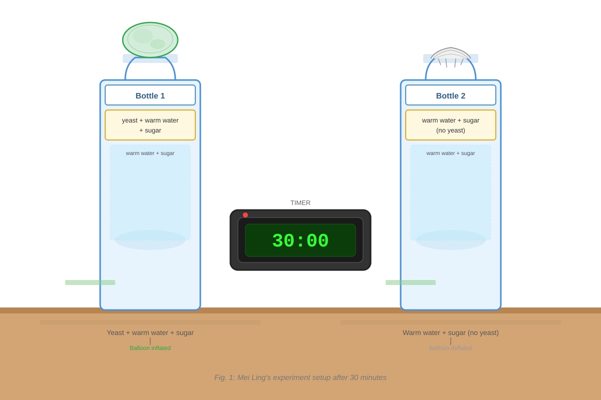 Experimental Setup for Q28 (P3 Science)