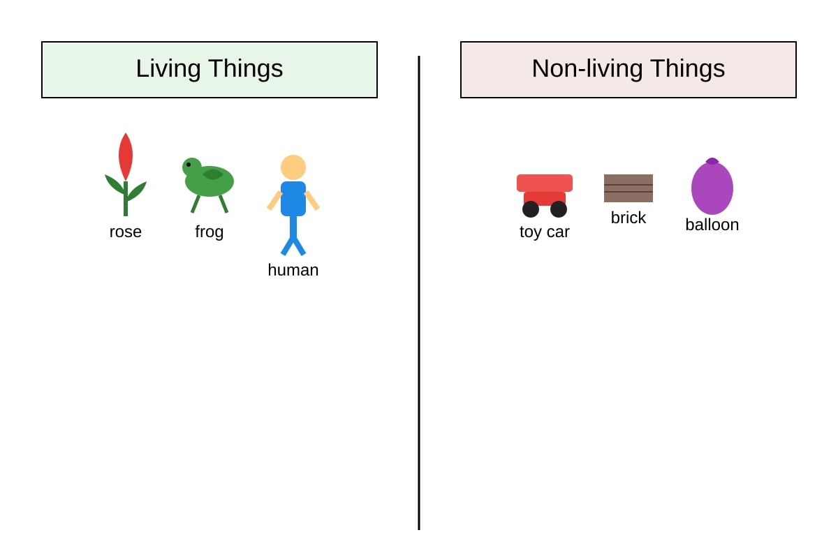 Diagram for 16 (P4 Science)