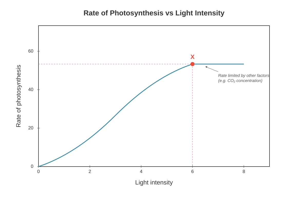 Graph for placeholder 5 (OLEVEL Biology)